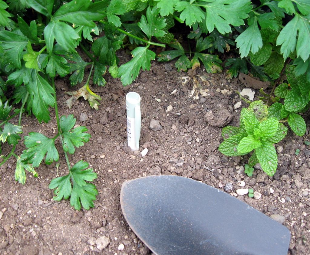 Six Months I Will Exhume